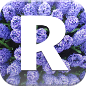 Redigo_logo